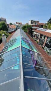 film-décoratif-aurora-winter-verrière-particulier-montreuil-93 (3)