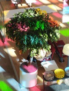 film-decoratif-color-couleur-gare-havre-artistique-sncf-soleil-nacelle-araignée (1)